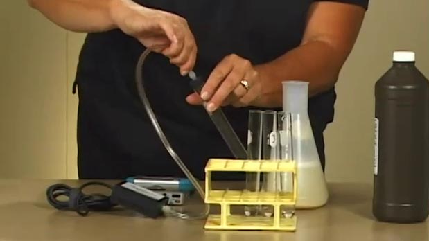 Enzyme Action (Computer)