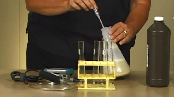 Enzyme Action (LabQuest)