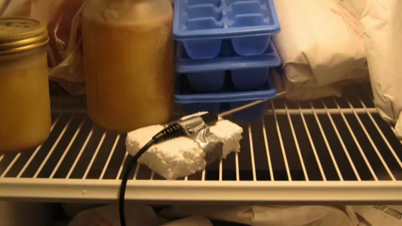 Watts Up with the Freezer
